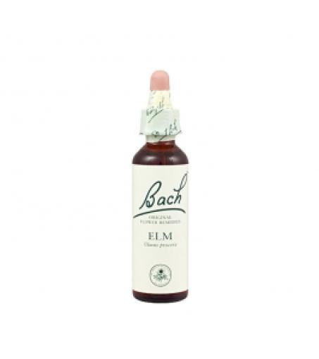 flores bach BACH 11 ELM (OLMO) 20ml