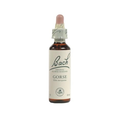 flores bach BACH 13 GORSE (AULAGA) 20ml