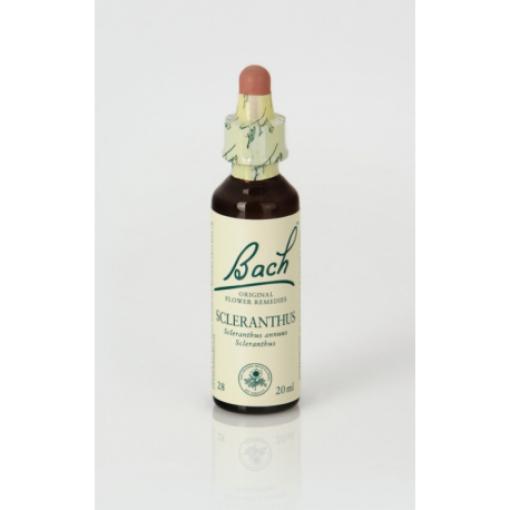 flores bach BACH 28 SCLERANTHUS (ESCLERANTO) 20ML