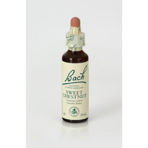 flores bach BACH 30 SWEET CHESTNUT (CASTAÑO DULCE) 20ML