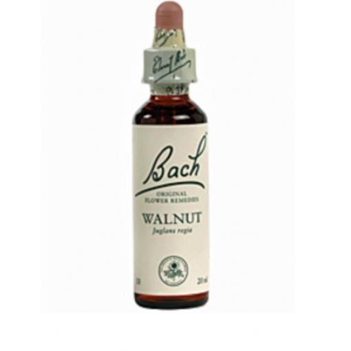 flores bach BACH 33 WALNUT (NOGAL) 20ml