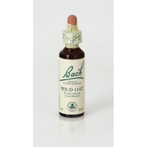 flores bach BACH 36 WILD OAT (AVENA SILVESTRE) 20ML