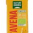 bebidas BEBIDA AVENA BIO 200ML
