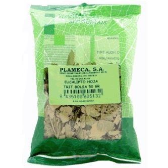 plantas en bolsa EUCALIPTO BOLSA 50G corte grande