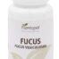plantas en comprimidos FUCUS 100 COMP.