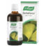 antioxidantes GINKGOFORCE GOTAS 100ML