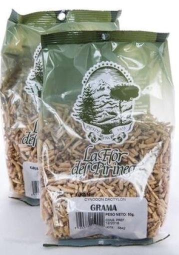 plantas en bolsa GRAMA RAIZ 50 GR