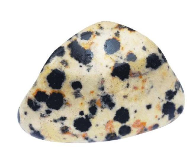 piedras PIEDRA JASPE DALMATA