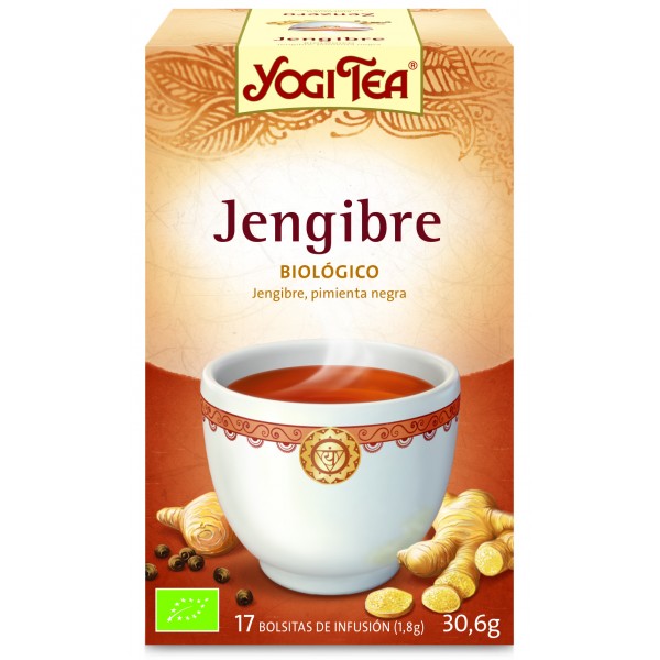 plantas en filtro YOGITEA JENGIBRE 17 FILTROS BIO