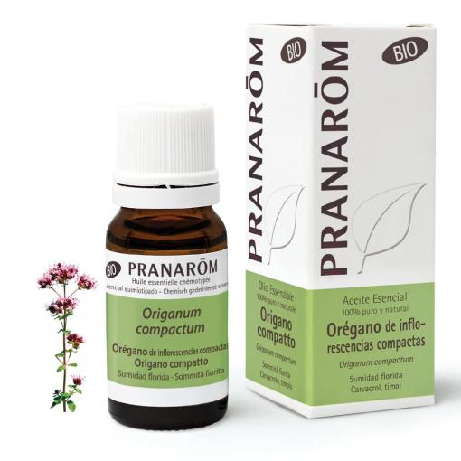 digestivos ACEITE ESENCIAL OREGANO BIO 10ML